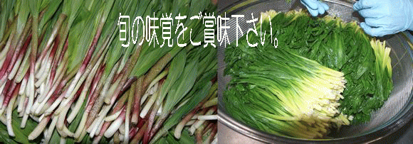 �w�����{�I�V�R�s�҂ɂ�ɂ��x